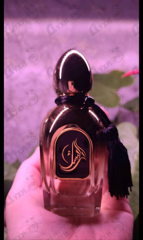 Купить Naema от Arabesque