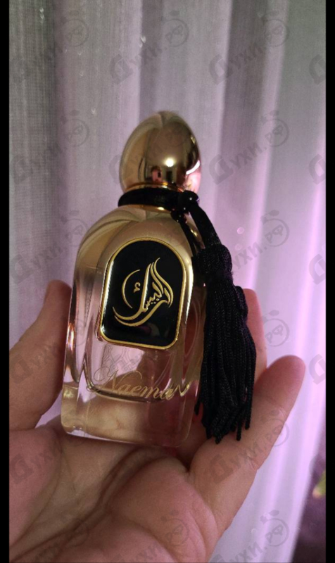 Купить Naema от Arabesque