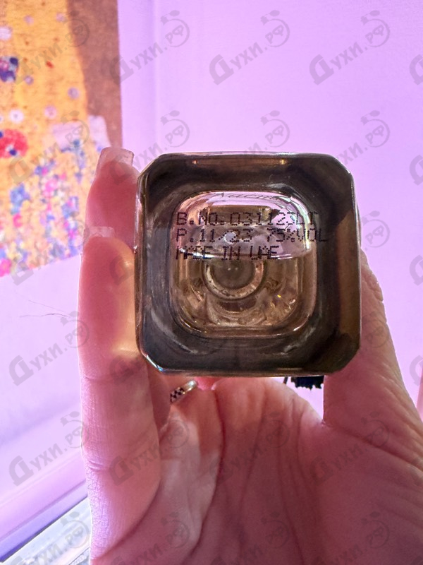 Купить Naema от Arabesque