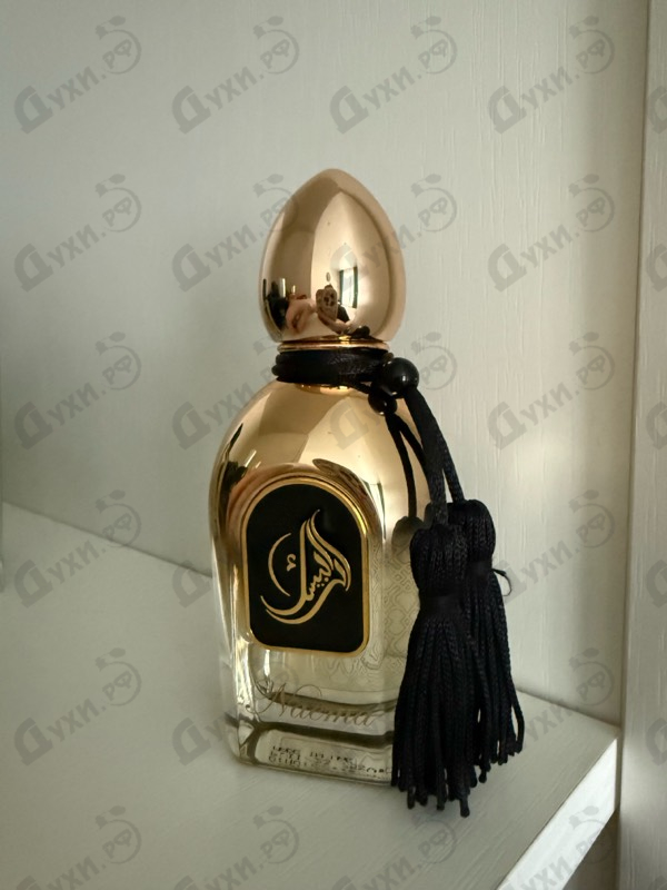 Купить Naema от Arabesque