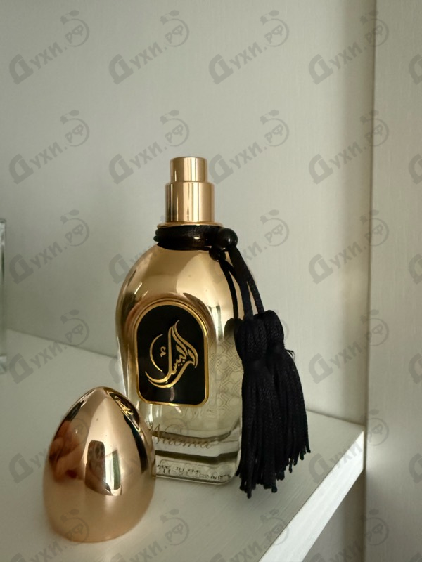 Купить Naema от Arabesque