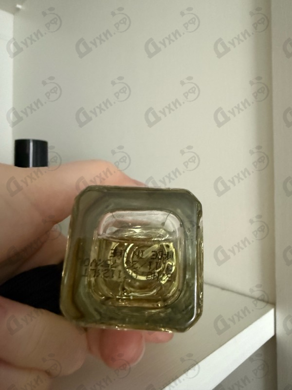 Купить Naema от Arabesque