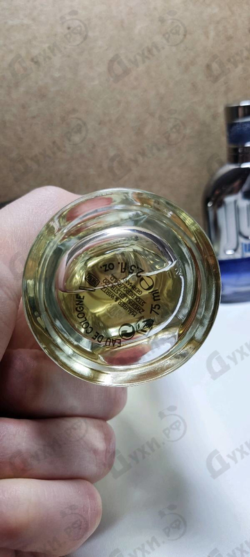 Отзыв Hugo Boss Baldessarini