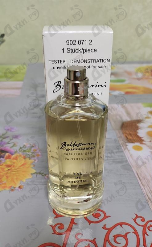 Купить Hugo Boss Baldessarini