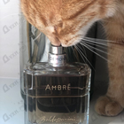 Духи Baldessarini Ambre от Hugo Boss