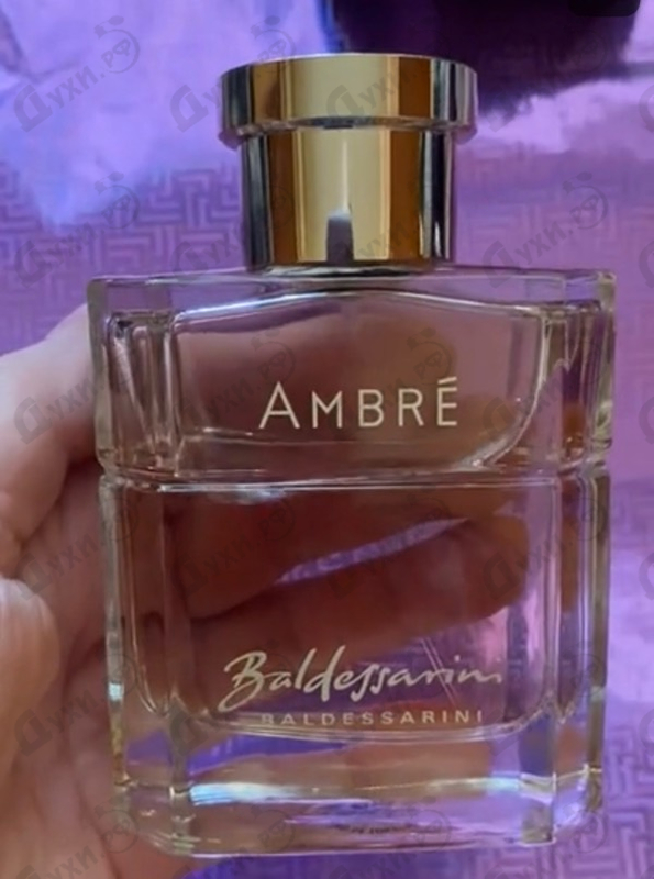 Купить Baldessarini Ambre от Hugo Boss