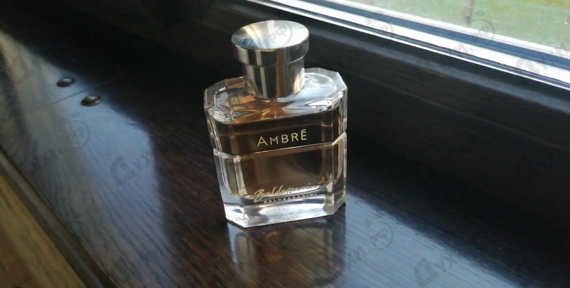 Купить Baldessarini Ambre от Hugo Boss