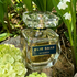 Отзыв Elie Saab Le Parfum Royal