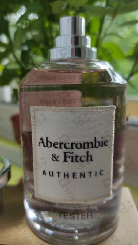 Купить Authentic от Abercrombie & Fitch