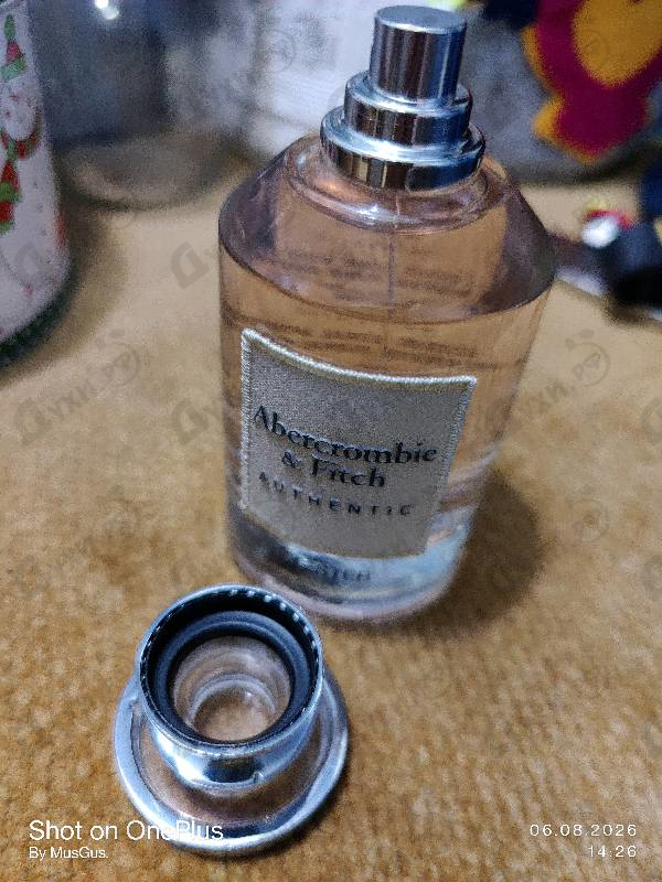 Купить Authentic от Abercrombie & Fitch