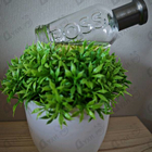 Духи Boss Bottled (no. 6) от Hugo Boss