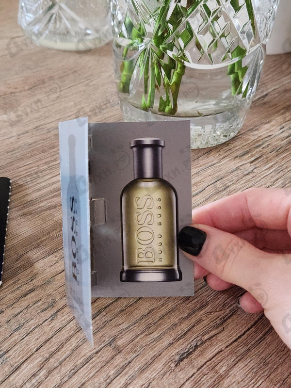 Отзывы Hugo Boss Boss Bottled (no. 6)