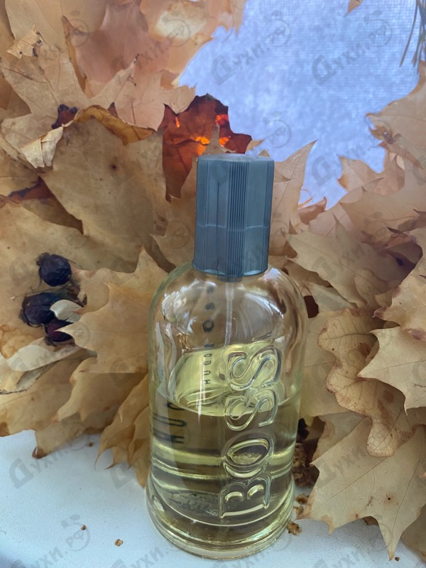 Купить Boss Bottled (no. 6) от Hugo Boss
