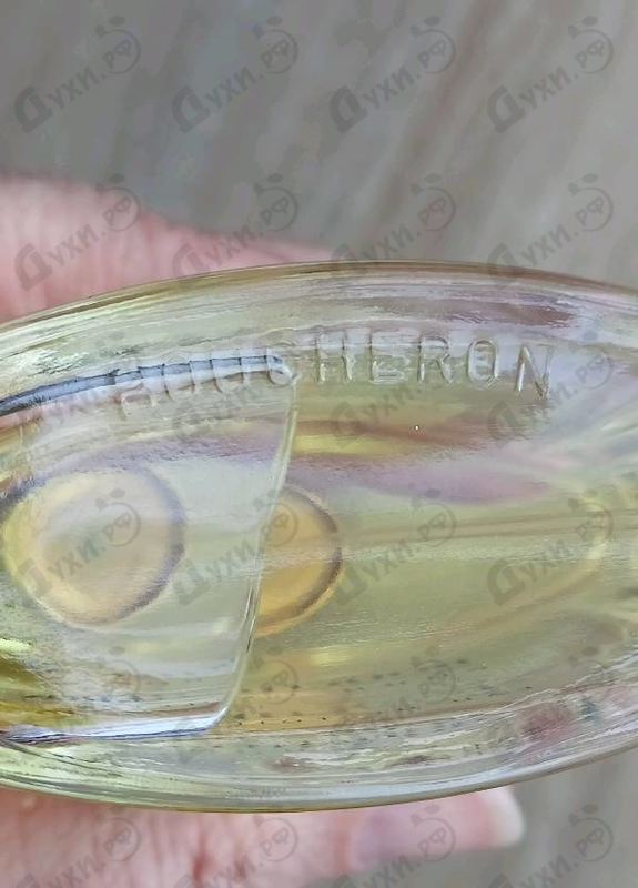 Купить Pour Homme от Boucheron