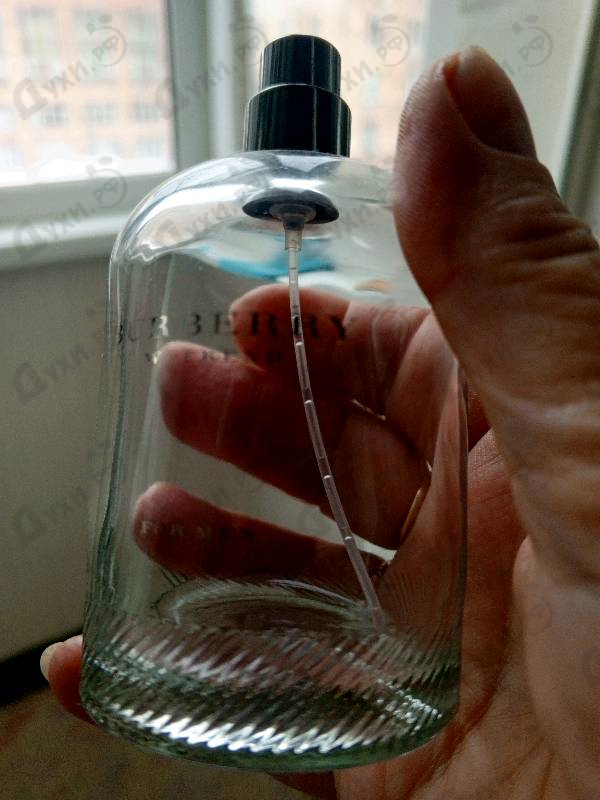 Купить Burberry Weekend