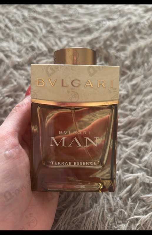 Купить Bvlgari Man Terrae Essence от Bvlgari