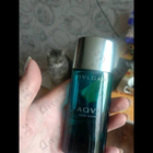 Отзыв Bvlgari Aqva
