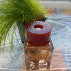 Отзыв Bottega Veneta Illusione