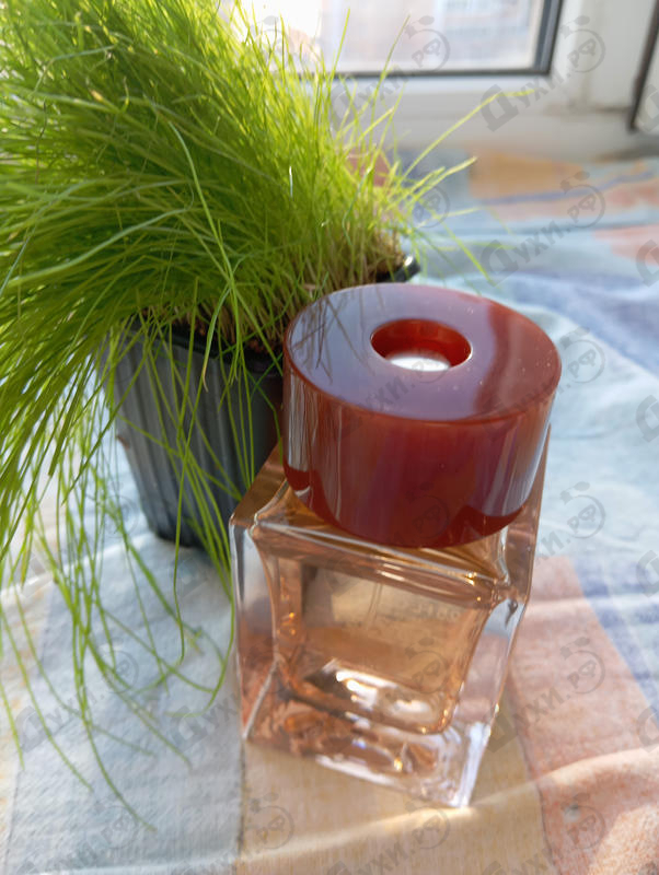 Отзывы Bottega Veneta Illusione