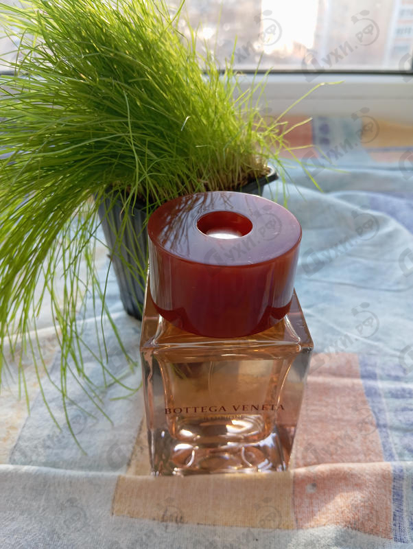 Купить Illusione от Bottega Veneta