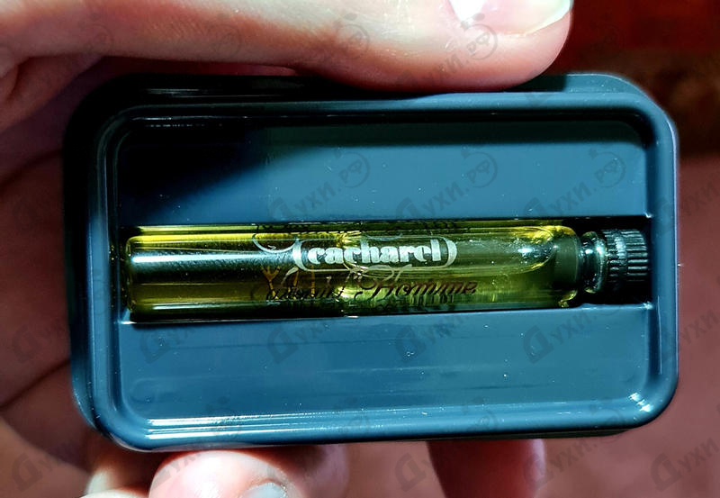 Парфюмерия Cacharel Pour L'homme Духи Pour L'homme от Cacharel