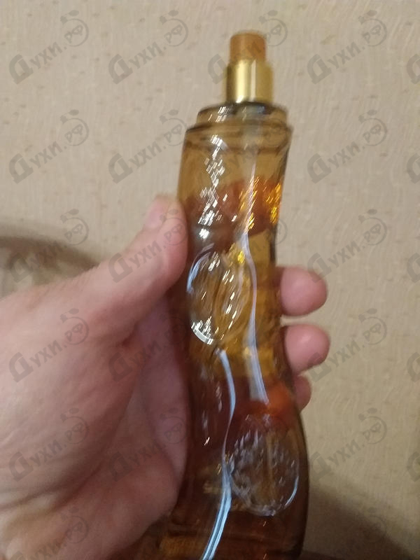 Духи Cafe-cafe Puro Купить Puro от Cafe-cafe