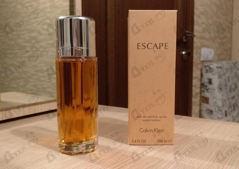 Купить Calvin Klein Escape