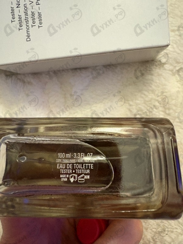 Купить Calvin Klein Euphoria