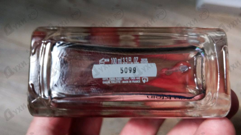 Купить Euphoria от Calvin Klein