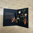 Отзыв L'Artisan Parfumeur Obscuratio 25