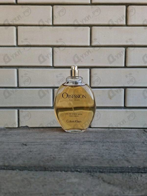Купить Calvin Klein Obsession