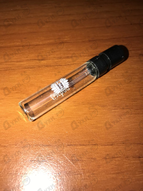 Купить Carbon от Ajmal Отзыв Ajmal Carbon