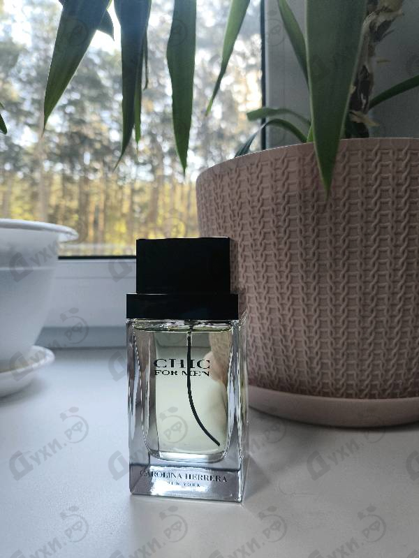 Купить Chic от Carolina Herrera