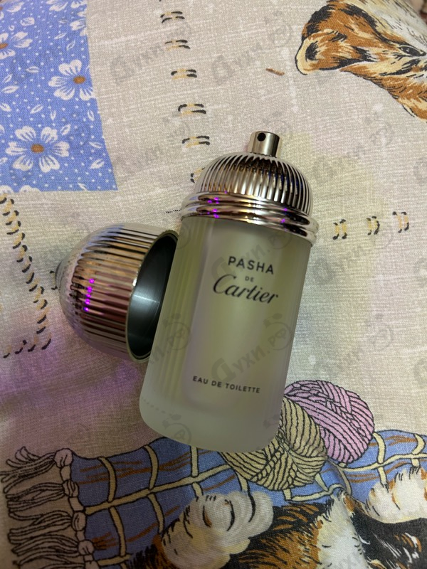 Купить Pasha от Cartier