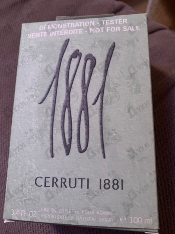 Купить 1881 от Cerruti