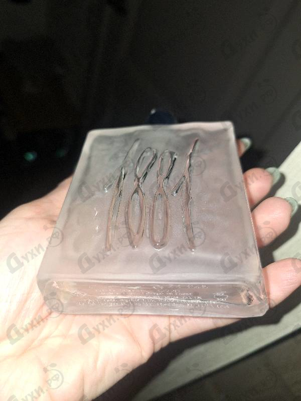 Купить 1881 от Cerruti