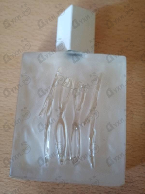 Отзывы Cerruti 1881