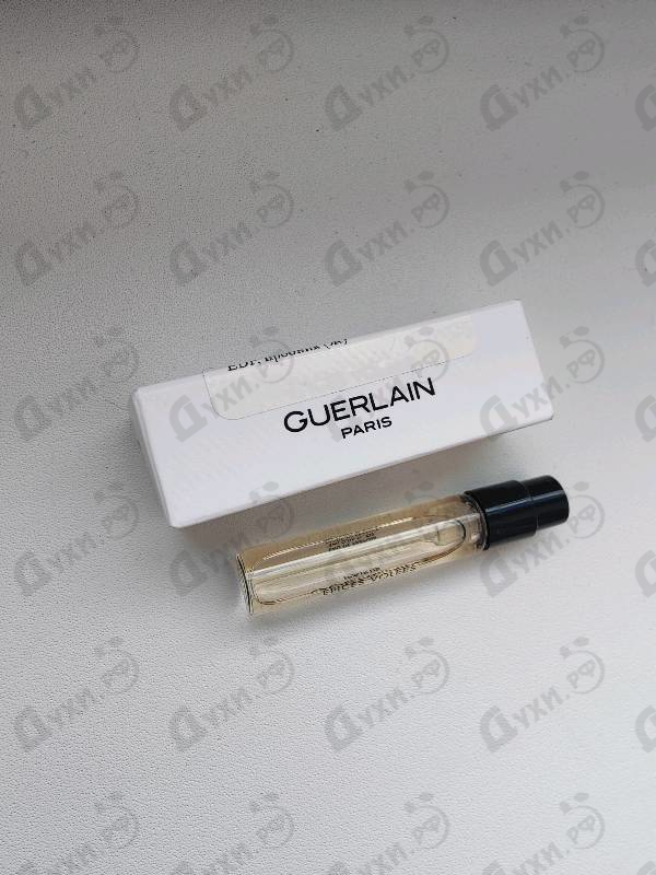 Отзывы Guerlain Epices Volees