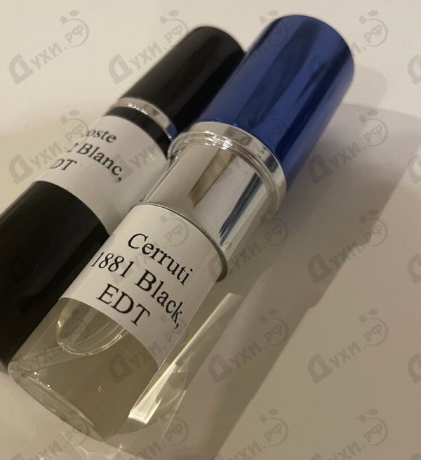 Купить 1881 Black от Cerruti