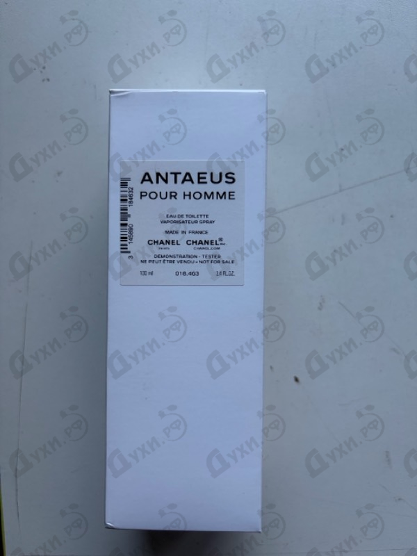 Купить Chanel Antaeus