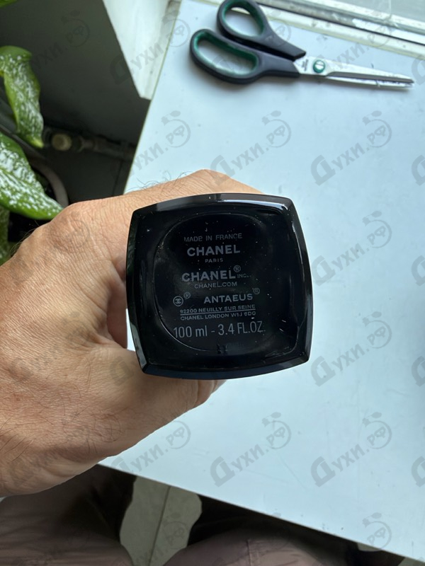 Купить Antaeus от Chanel