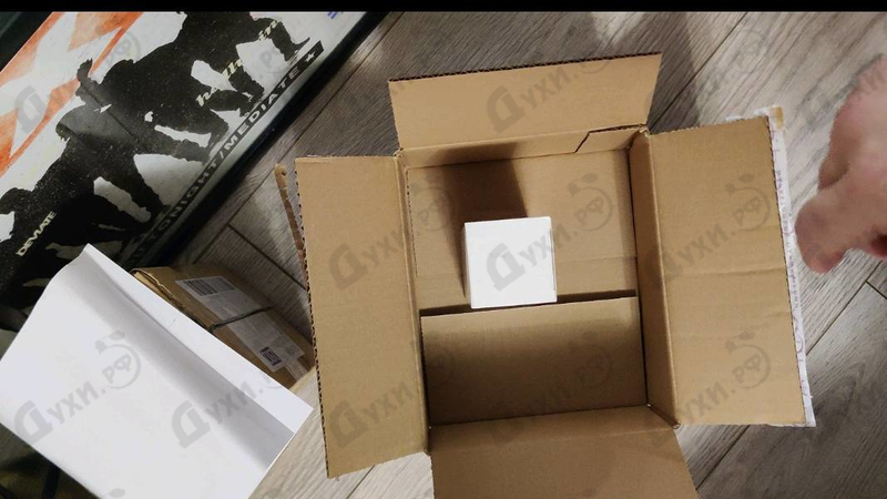 Купить Chanel Antaeus