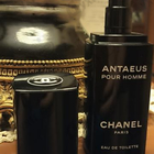 Отзыв Chanel Antaeus