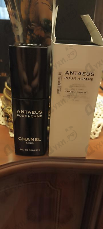 Отзывы Chanel Antaeus