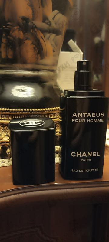 Парфюмерия Antaeus от Chanel