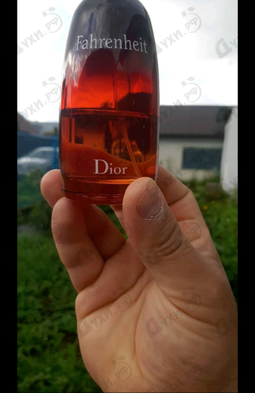 Отзывы Christian Dior Fahrenheit