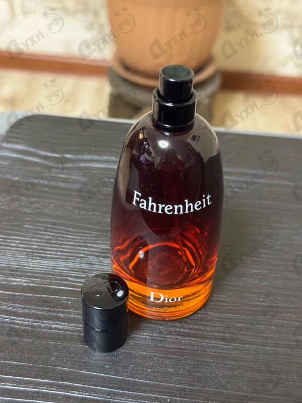 Отзывы Christian Dior Fahrenheit