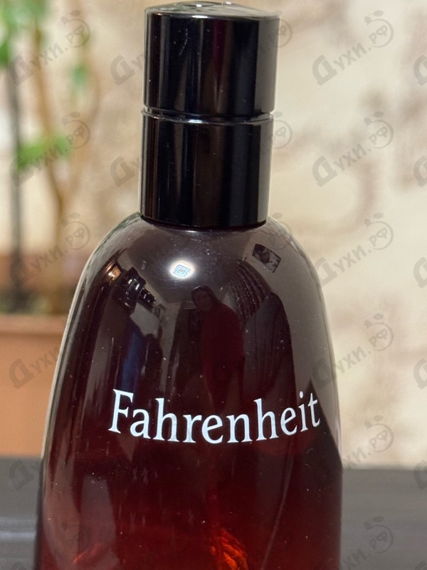 Купить Fahrenheit от Christian Dior