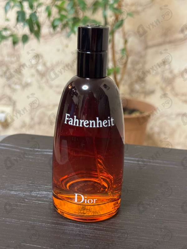 Парфюмерия Christian Dior Fahrenheit