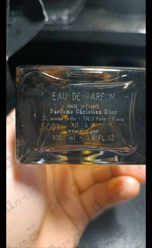 Купить Homme Intense от Christian Dior